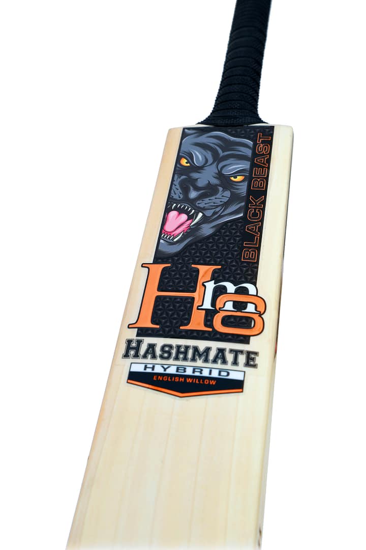 BLACK BEAST - Image 4